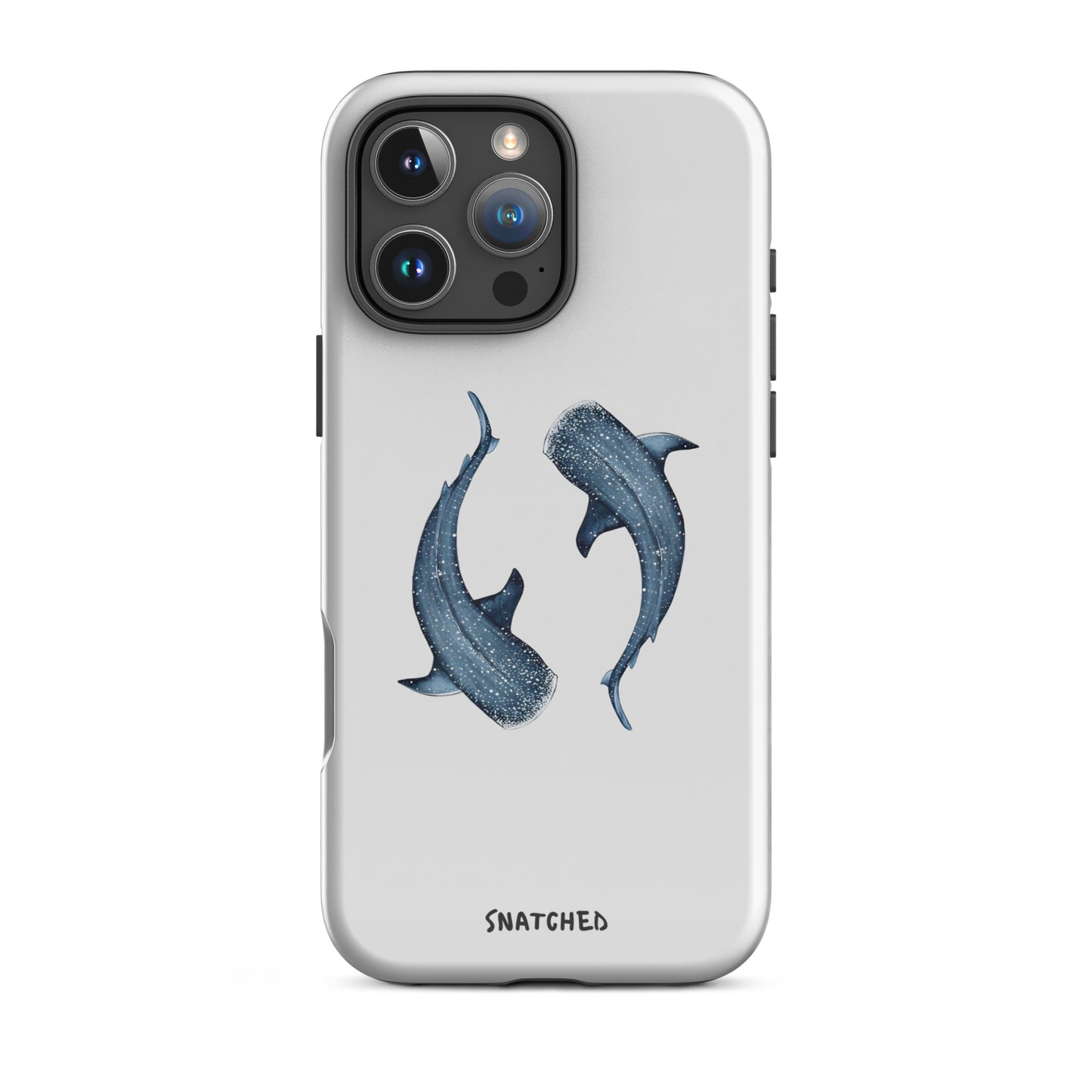 Whale Song